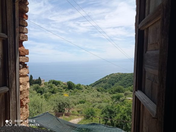 6a9a5a8f 275c 4e31 9283 aa393890f0bf