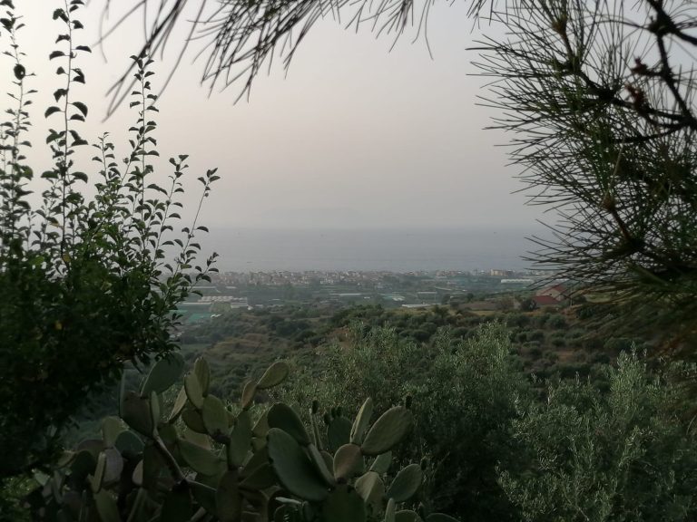 Terreno agricolo in vendita in Contrada Olmo, Furnari, Me