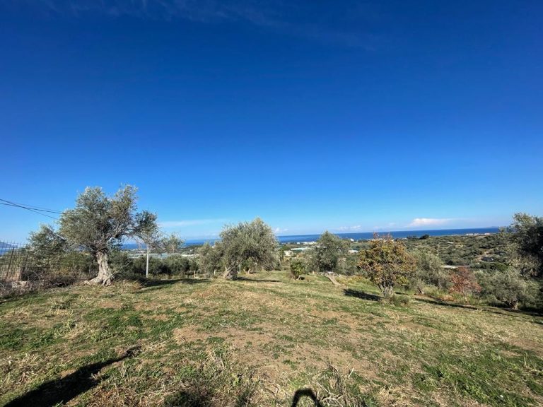 Terreno agricolo in vendita in via Passavena, Basicò, Me