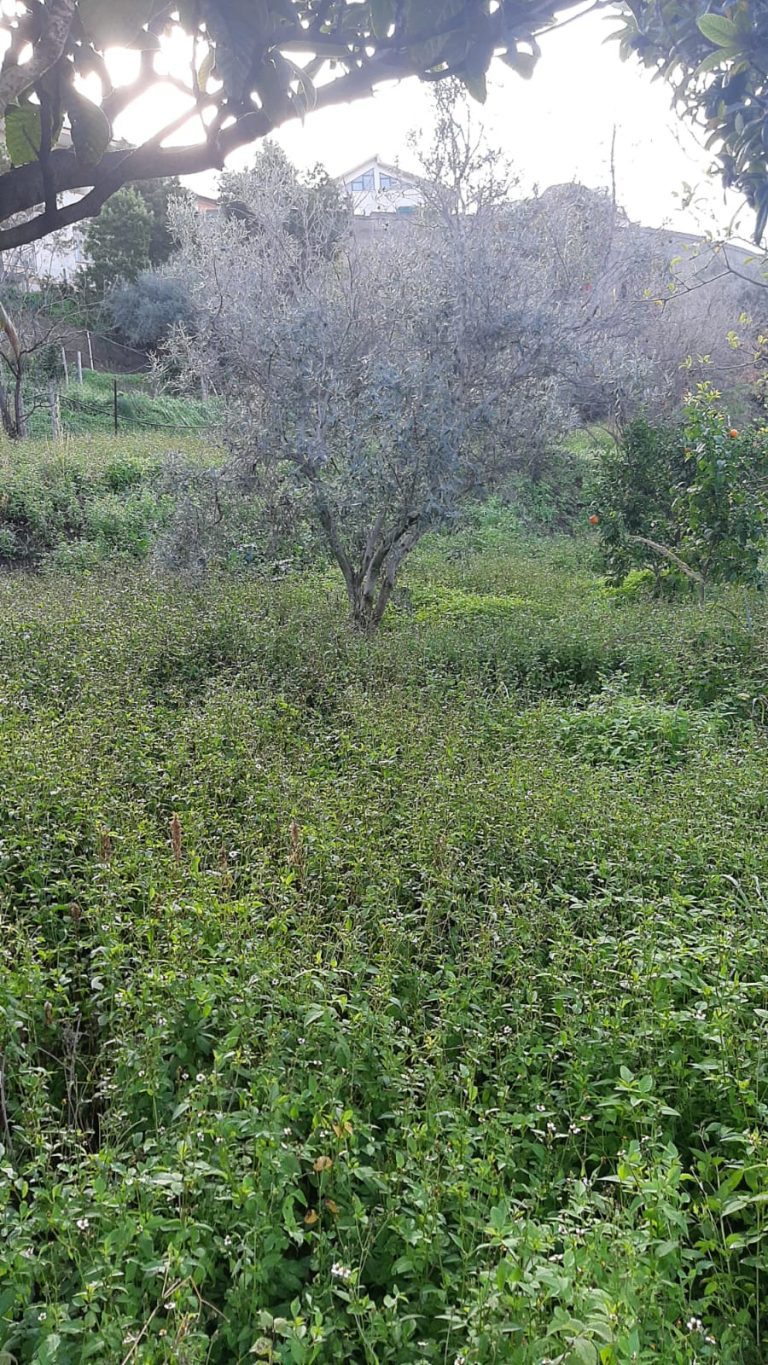 Terreno edificabile in vendita a Santa Lucia del Mela (ME)