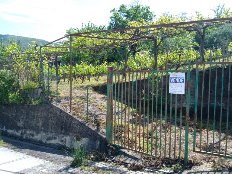 Casa semindipendente in vendita Via Piazza Ospedale S. Calogero, S. Salvatore di Fitalia, Me