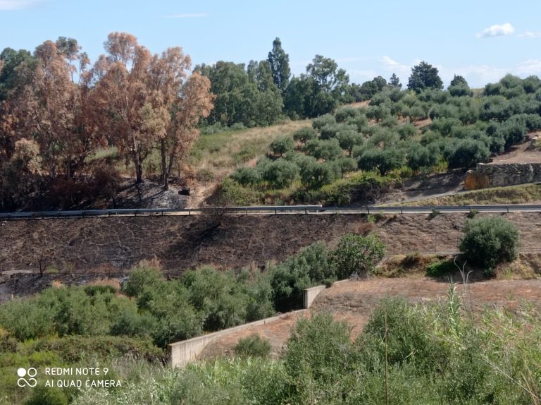 Terreno agricolo in vendita in Contrada Sulleria , Rodi Milici, Me