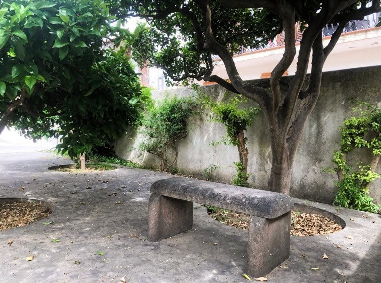 Trattamento di un giardino con panchina in pietra, piante e alberi verdi, spazio esterno tranquillo e naturale, ideale per relax e incontri all'aperto.