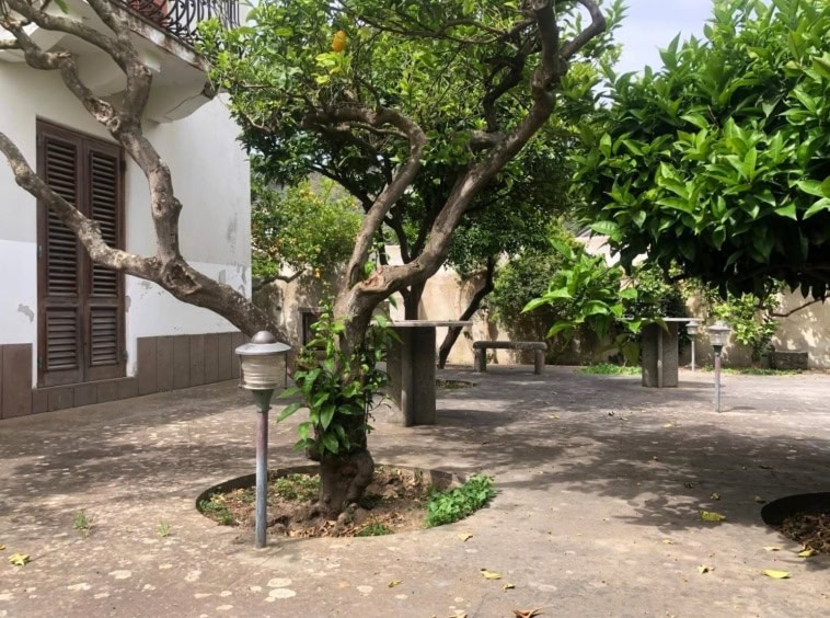 Idyllic giardino con alberi frondosi, panchine in cemento e illuminazione esterna, perfetto per relax e convivialità, in zona residenziale tranquilla.