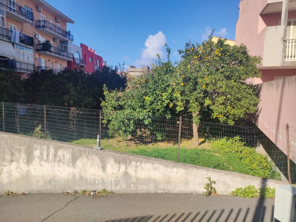Altezza di un giardino urbano con alberi di limoni e recinzione in rete metallica, con edifici residenziali colorati sullo sfondo e cielo sereno.