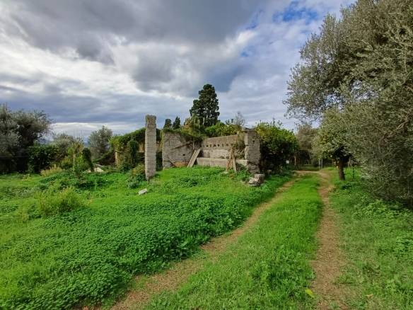 Vecchio edificio in rovina circondato da natura rigogliosa e vegetazione verde, scenario rurale e tranquillo con cielo nuvoloso, ideale per rustici e investimenti immobiliari campestri.