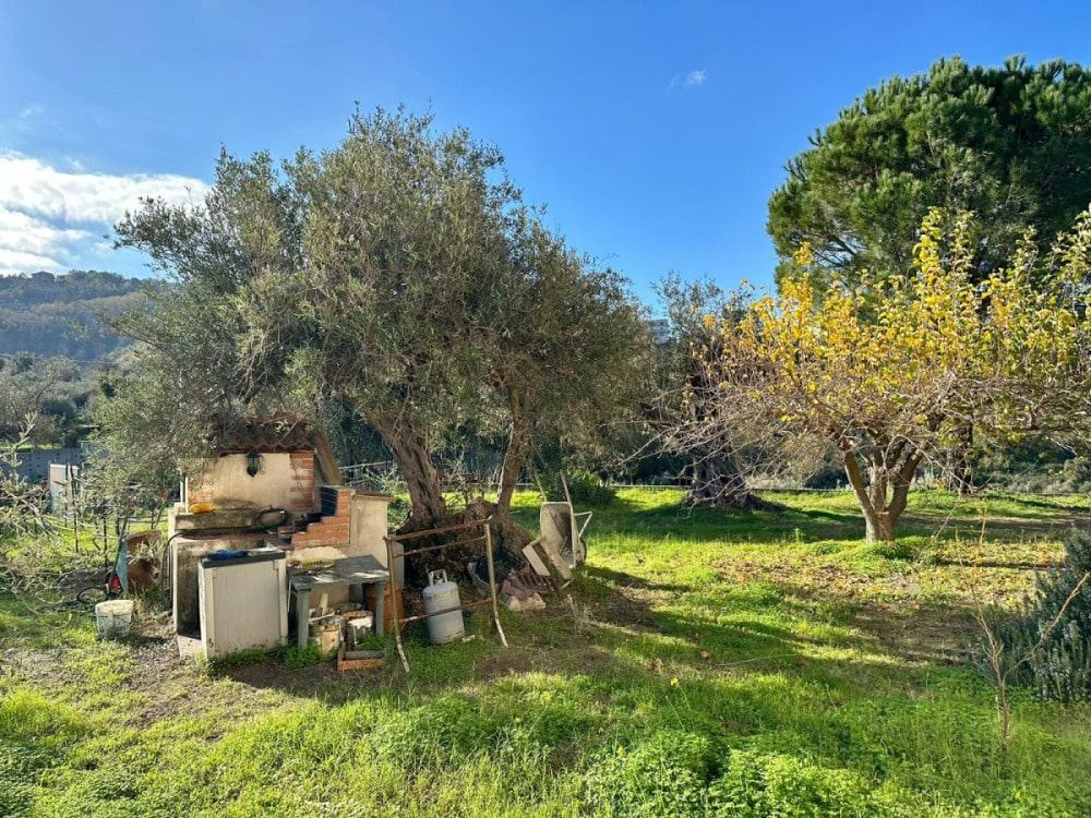 Cassottino e alberi rigogliosi in giardino, paesaggio naturale e verde, soluzione immobiliare NextCasa, vista esterna di un'area verde con elementi di arredo e strumenti da giardinaggio.