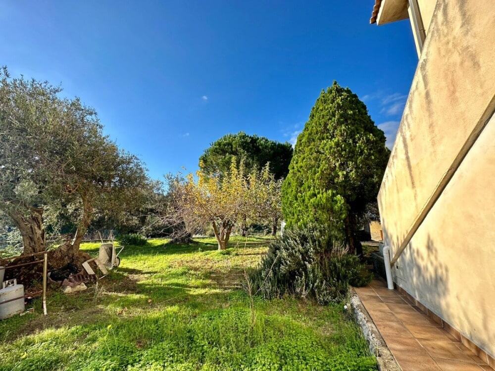 Altezza di un giardino con alberi e piante verdi, in una giornata soleggiata.