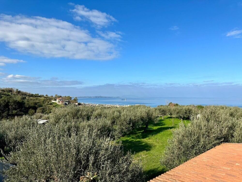 Azienda agricola con uliveti e vista sul mare in Liguria, Italia.