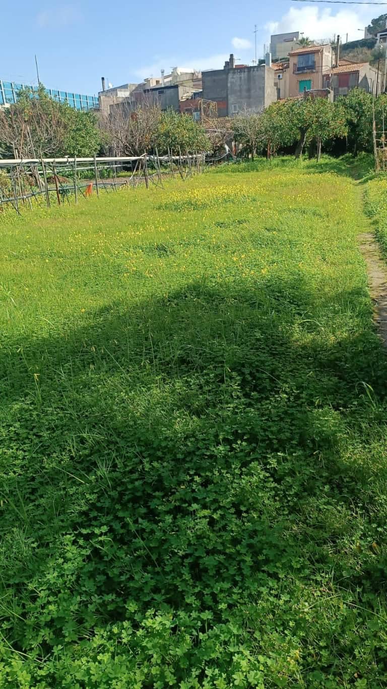 Terreno in vendita in via vico I nazionale a San Pier Niceto, Me