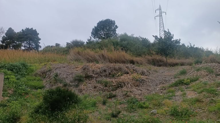 Terreno edificabile in vendita in C.da Santa Barbara a Saponara, Me