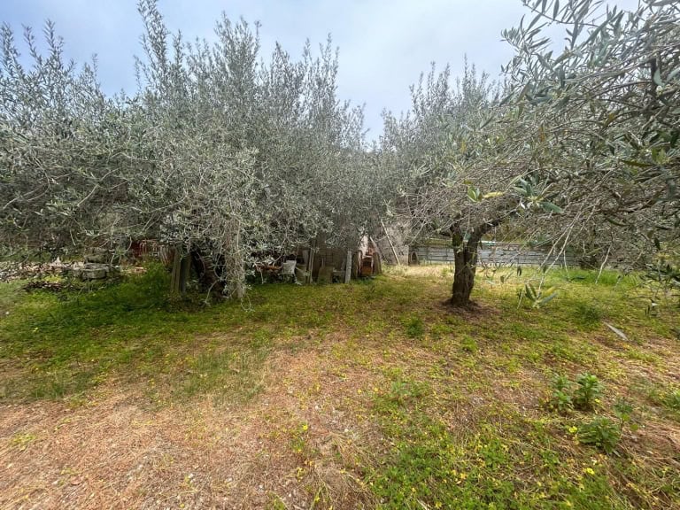 Terreno con magazzino in vendita di C/da Rosa, Terme Vigliatore, Me