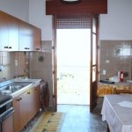 IMG 0244