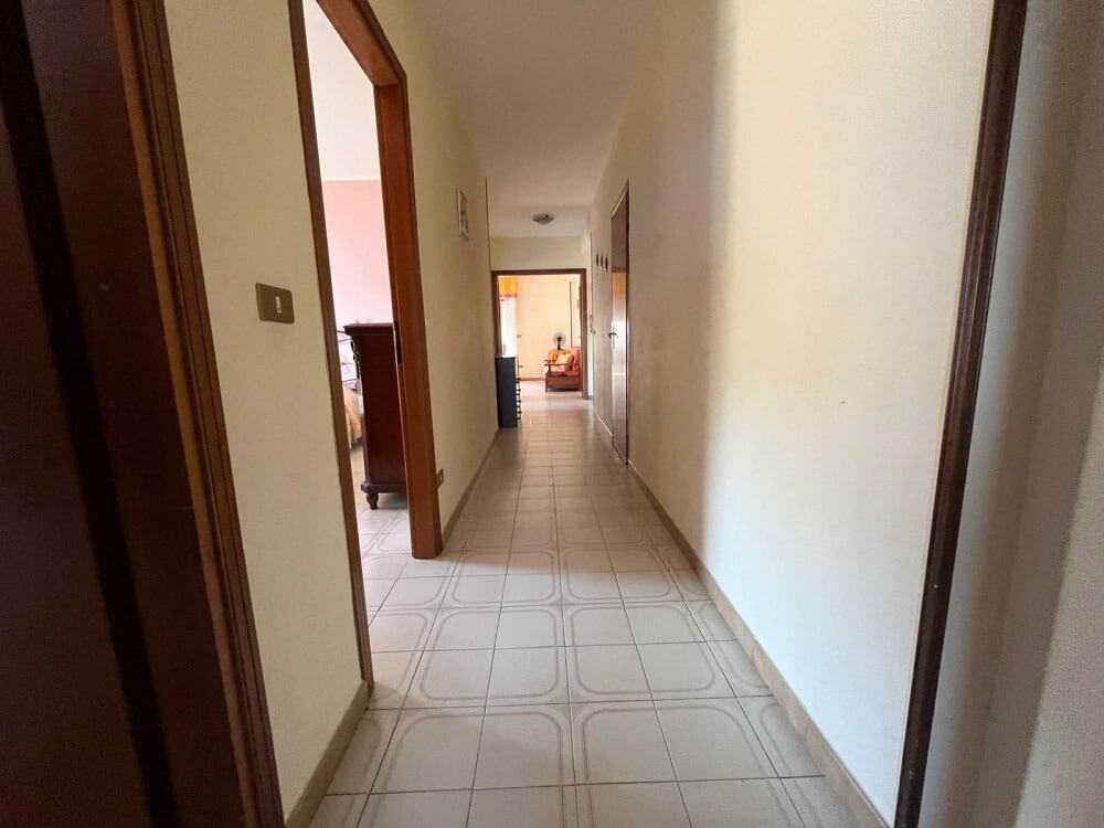 Immagine WhatsApp 2024 07 15 ore 13.32.44 be05364d
