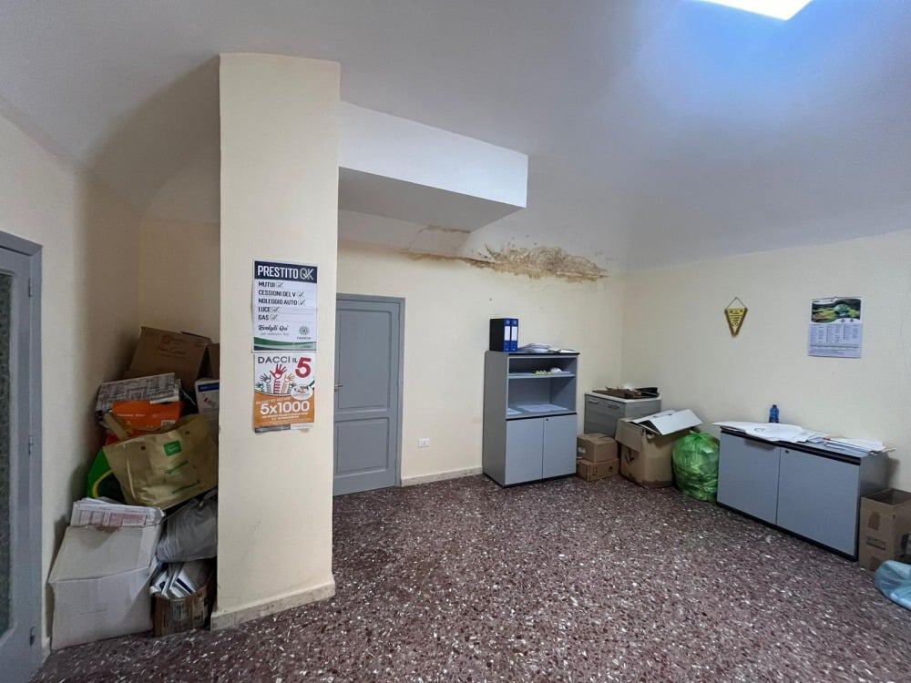 Immagine WhatsApp 2024 07 22 ore 15.10.18 59e178ed