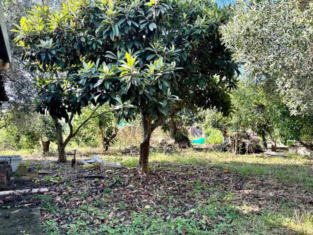 Casa indipendente in via Acquacalda, Barcellona P.G., Me