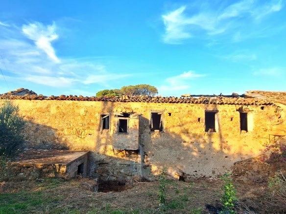 Immagine WhatsApp 2024 09 25 ore 10.33.03 cc750a19