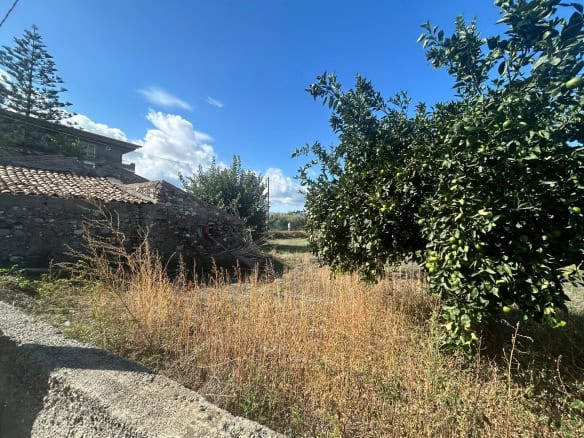 WhatsApp Image 2024 09 24 at 10.45.50 (1)