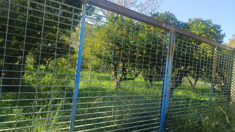 Terreno agricolo in vendita a San Pier Niceto, Me