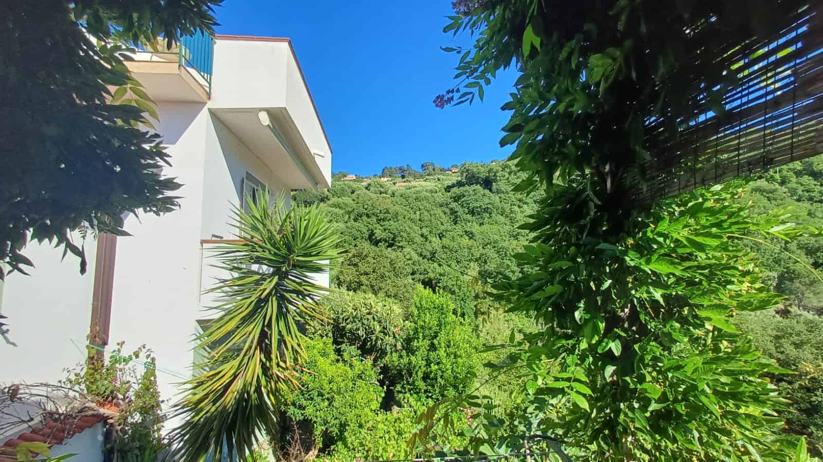 Balcone con vista su un verde paesaggio collinare, piante tropicali e edificio moderno in stile mediterraneo, immerso nella natura, ideale per case vacanza e residenze nel contesto di NextCasa.