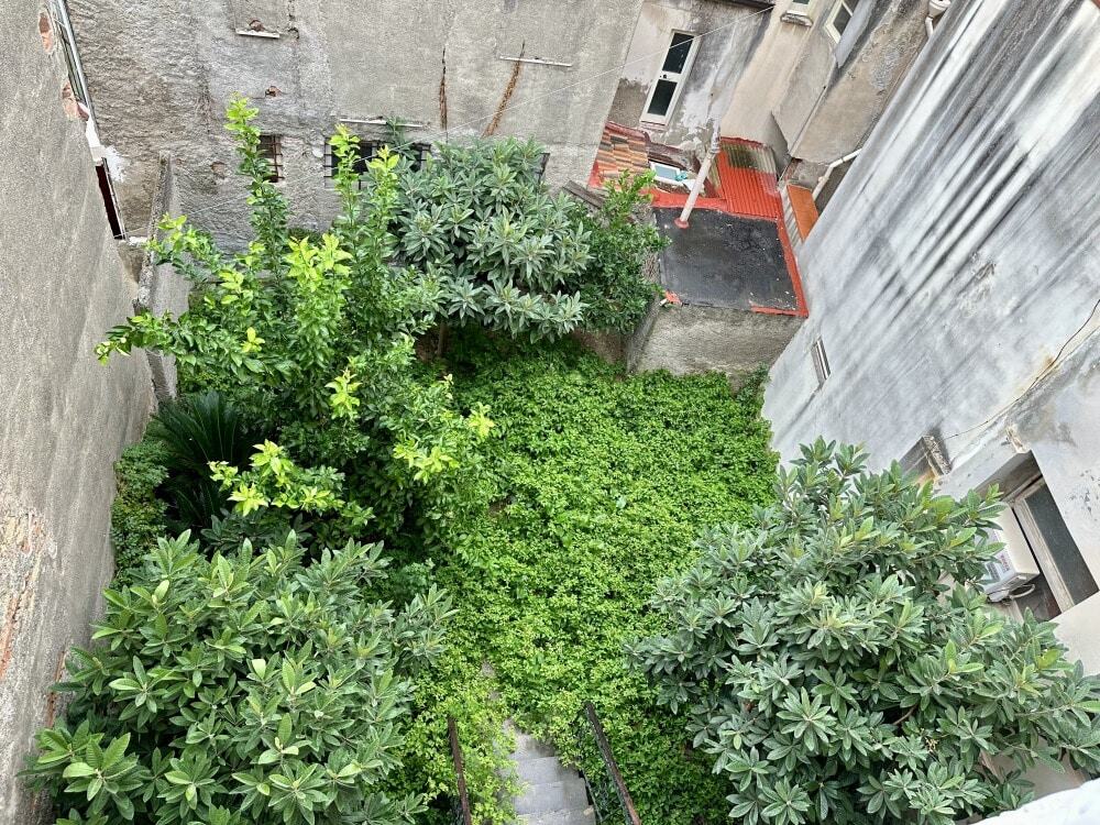 Verde condominio urbano con piante lussureggianti, giardino privato e accesso con scale, ideale per appartamenti e case in città. Orto e spazio all’aperto immersi nella natura.
