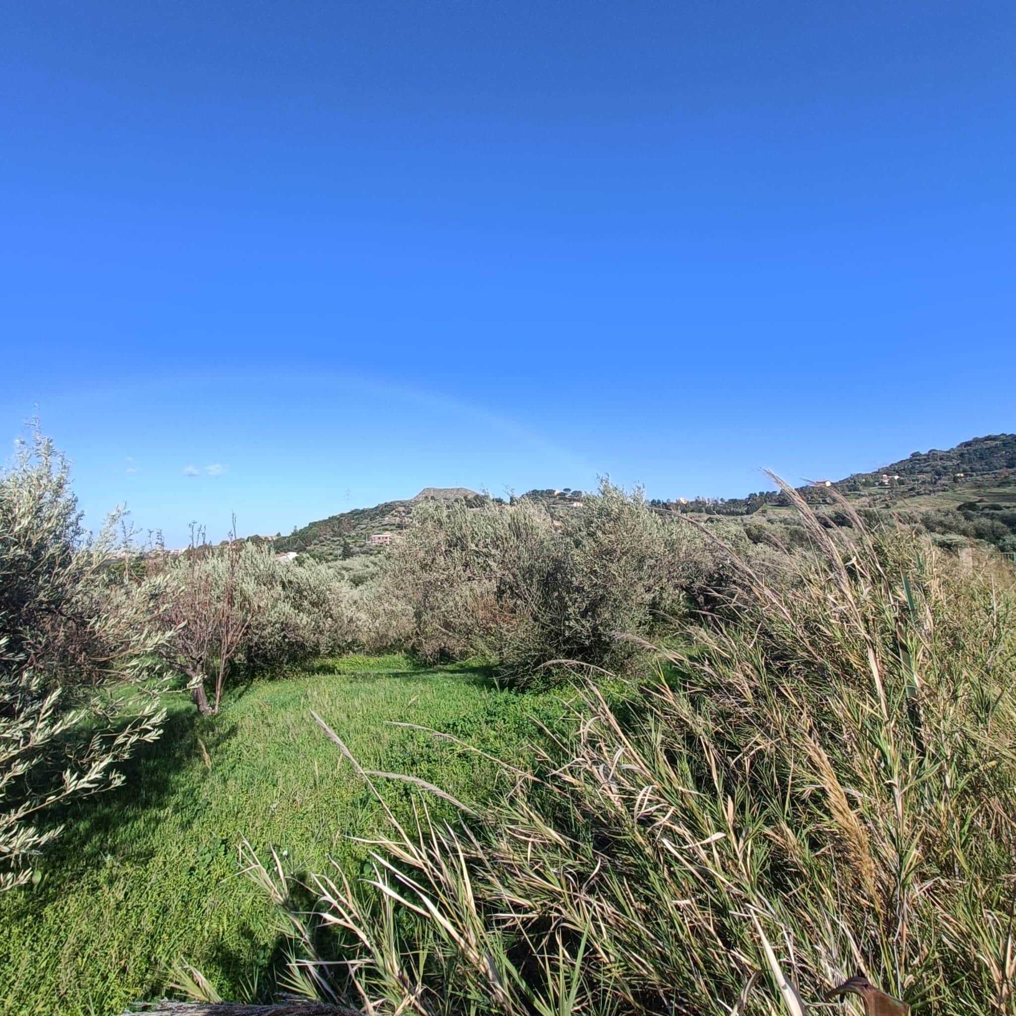 Finestra su un paesaggio rurale con oliveti e colline, vista panoramica sulle campagne e il cielo blu, ideale per chi cerca case o terreni in zona naturalistica senza perdere il contatto con la natura.