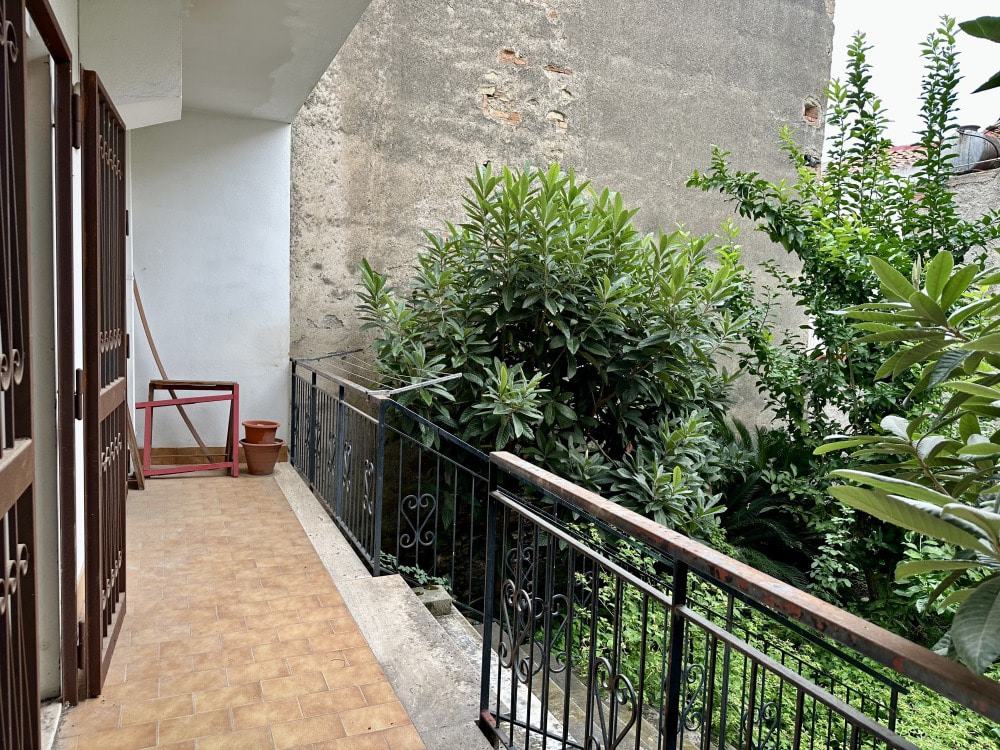 Balcone di un appartamento con ringhiera in ferro battuto, piante verdi lussureggianti e parete in cemento, ambiente esterno tranquillo e accogliente ideale per relax e coltivazione di piante.