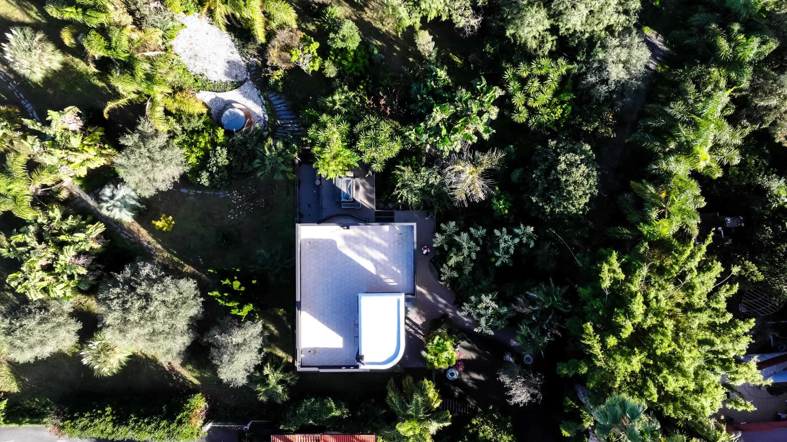 Tetto bianco di una villa circondata da una rigogliosa vegetazione tropicale con alberi e piante verdi fitti.