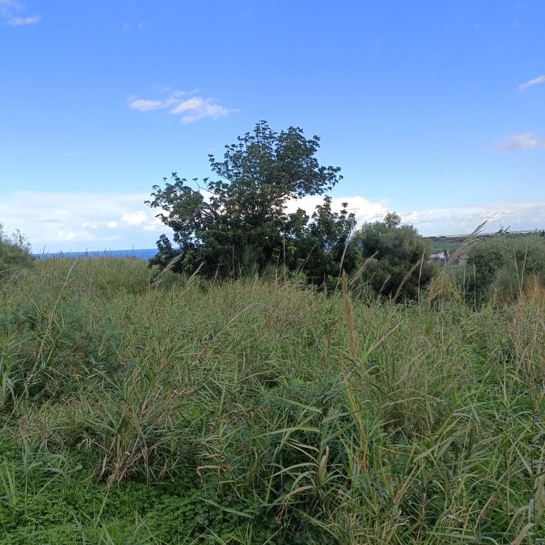 Terreno Agricolo in vendita in via Nazionale Vigliatore, Terme Vigliatore, Me