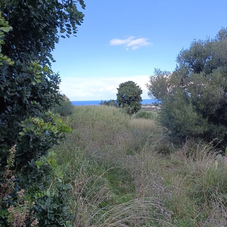 Terreno Agricolo in vendita in via Nazionale Vigliatore, Terme Vigliatore, Me