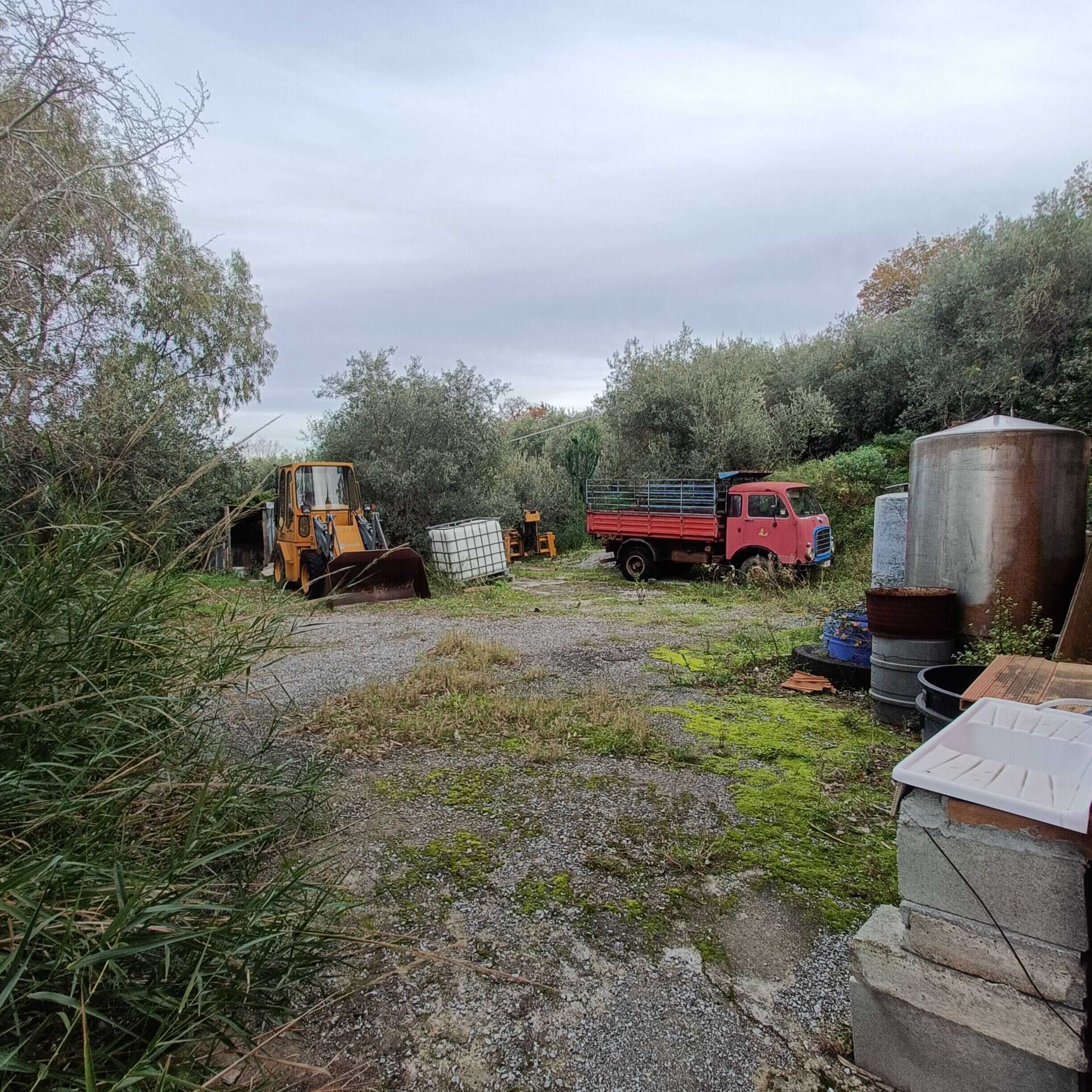 Carri auto, serbatoi e attrezzature agricole in un'area esterna, ambiente rurale rustico e incontaminato ideale per l'agricoltura e il giardinaggio.