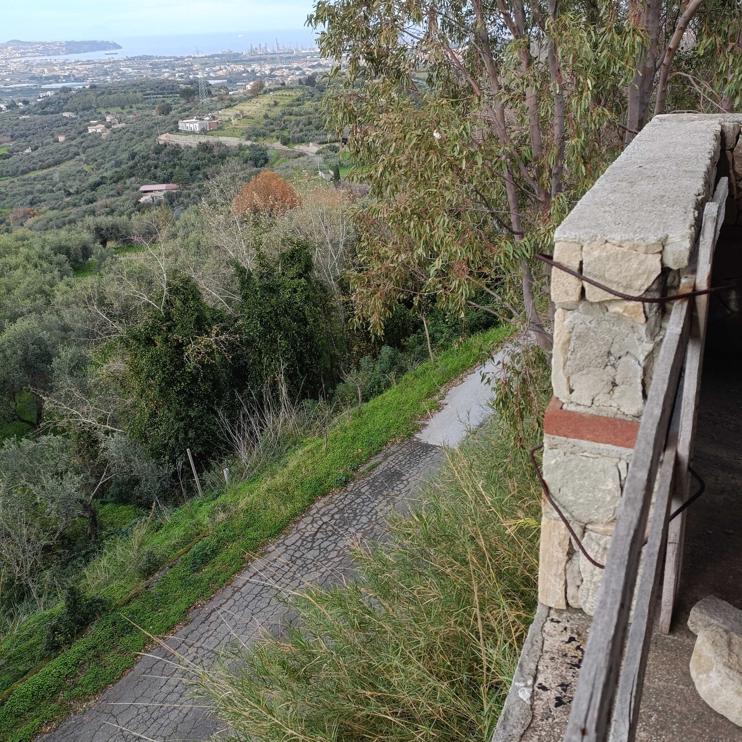 Vista panoramica sulla campagna e il mare, con strada sterrata e vegetazione rigogliosa, ideale per immobili di lusso e immobili con vista a NextCasa.