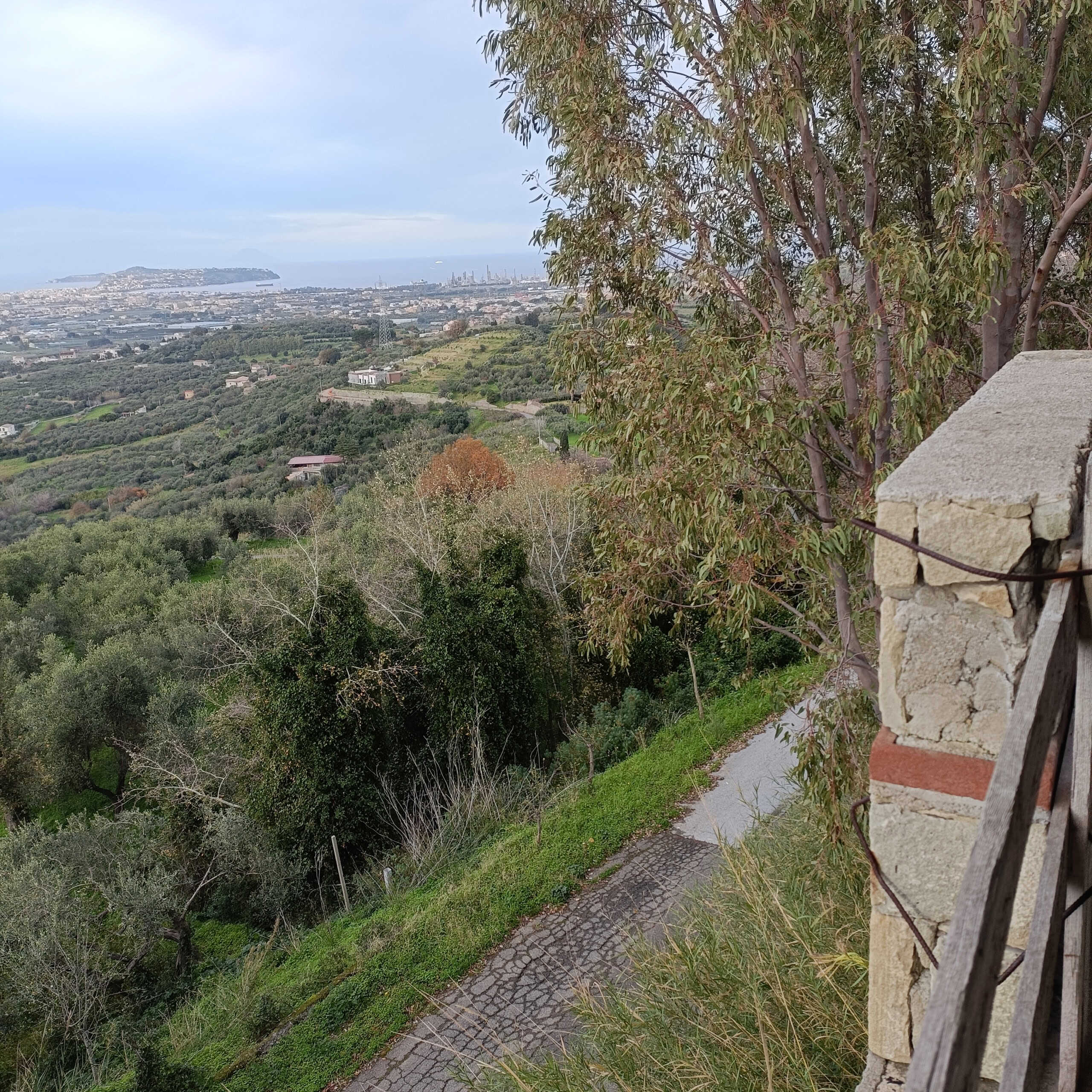 Vista panoramica sulla campagna e il mare, con natura verde e colline, perfetta per appartamenti in vendita o affitto di NextCasa in zone tranquille e suggestive.