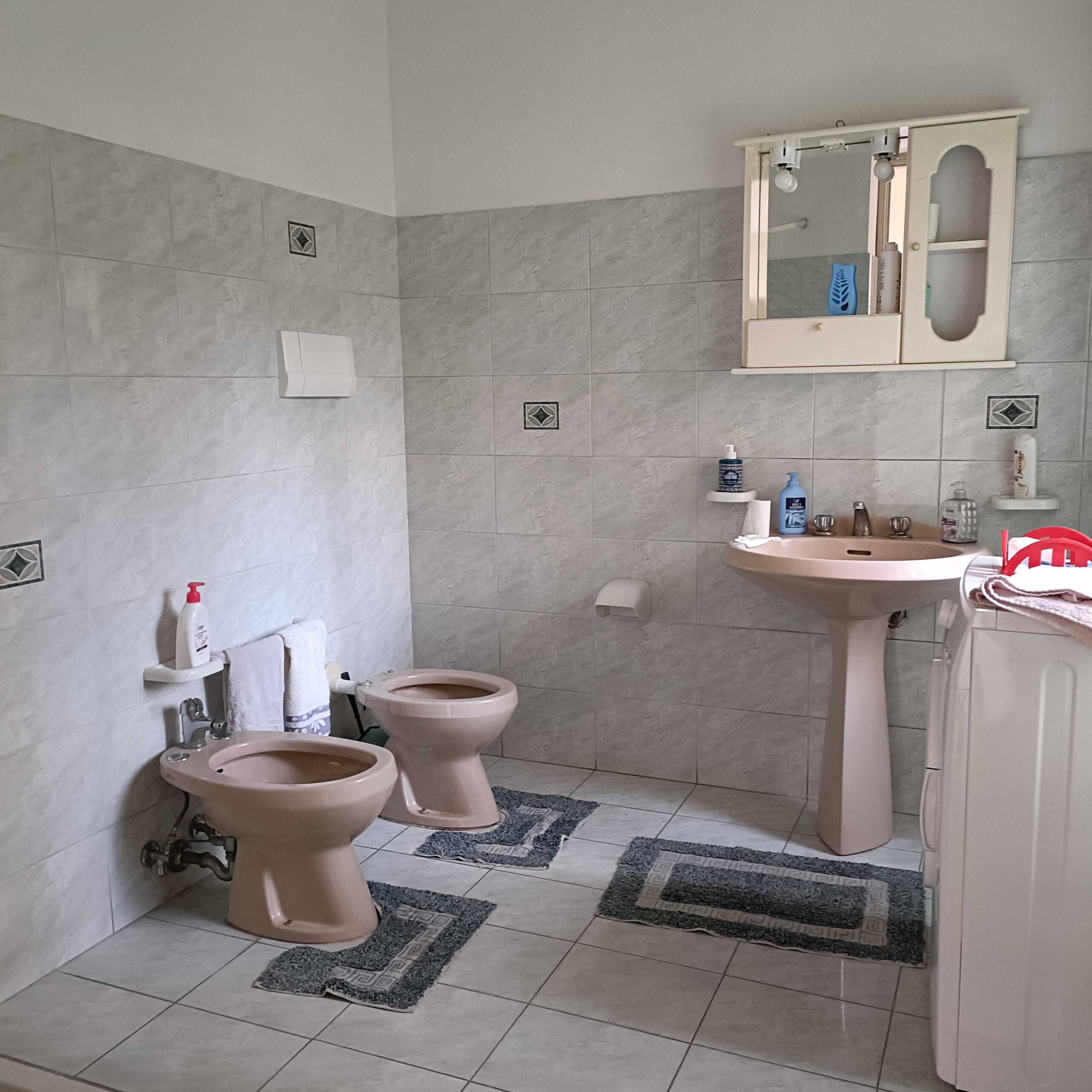 Bidet e lavabo in bagno con piastrelle chiaro, specchiera con mobiletto, asciugamani e prodotti per l'igiene, ambiente funzionale e ben tenuto in stile classico.