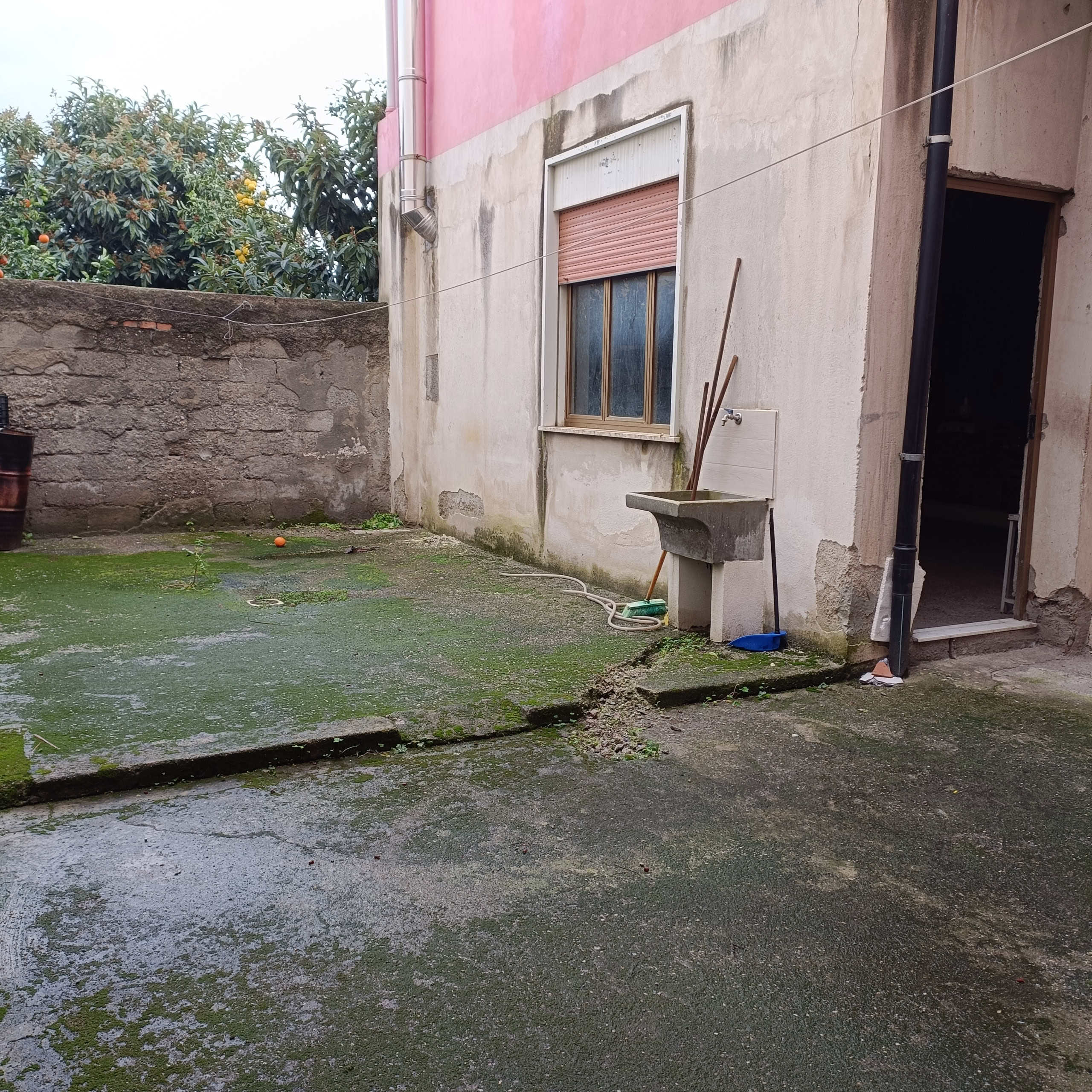 L'immagine mostra il cortile esterno di una casa in condizioni di degrado, con terreno umido, piante di arance sullo sfondo, pareti con segni di umidità e una zona lavanderia con un lavandino in cemento.