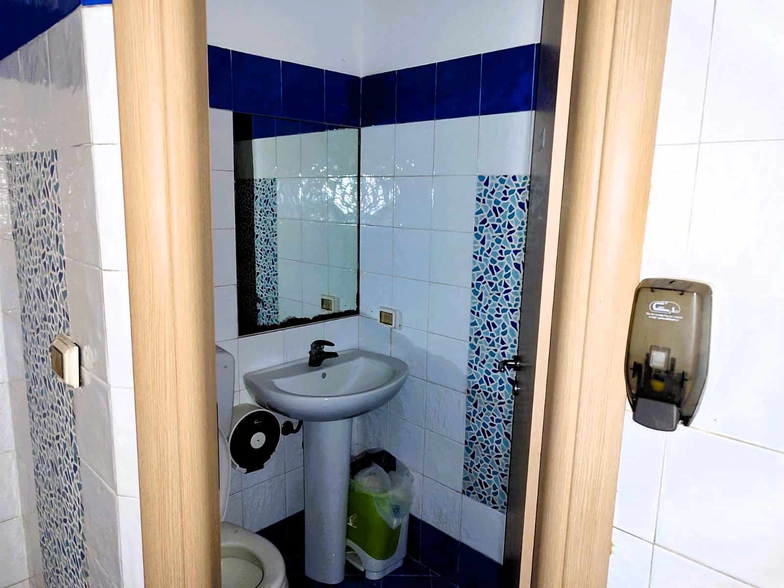 Lavandino e specchio nel bagno di un appartamento, design funzionale, rivestimento in piastrelle bianche e blu, ambiente curato e pratico, ideali per immobili di NextCasa.