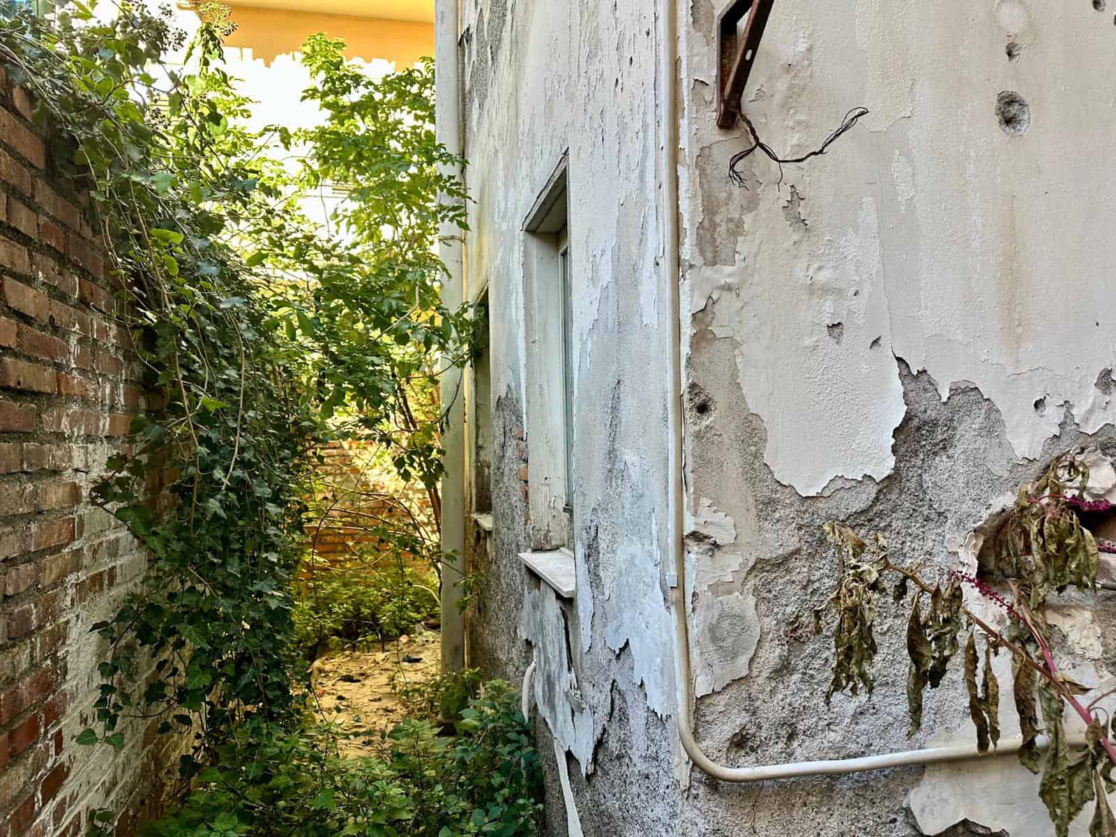 Degrado e parete rovinata di un edificio abbandonato con vegetazione cresciuta all’interno, stile urbano e ristrutturazione edilizia.