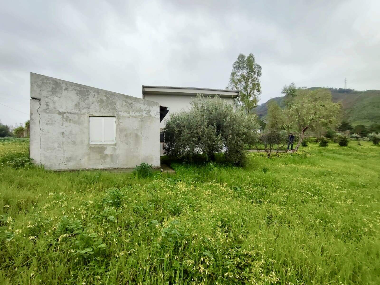 Vecchio casale in pietra circondato da prato verde e alberi, con sfondo colline, in un paesaggio rurale naturale, ideale per immobili rurali e proprietà da ristrutturare, vista panoramica montana.