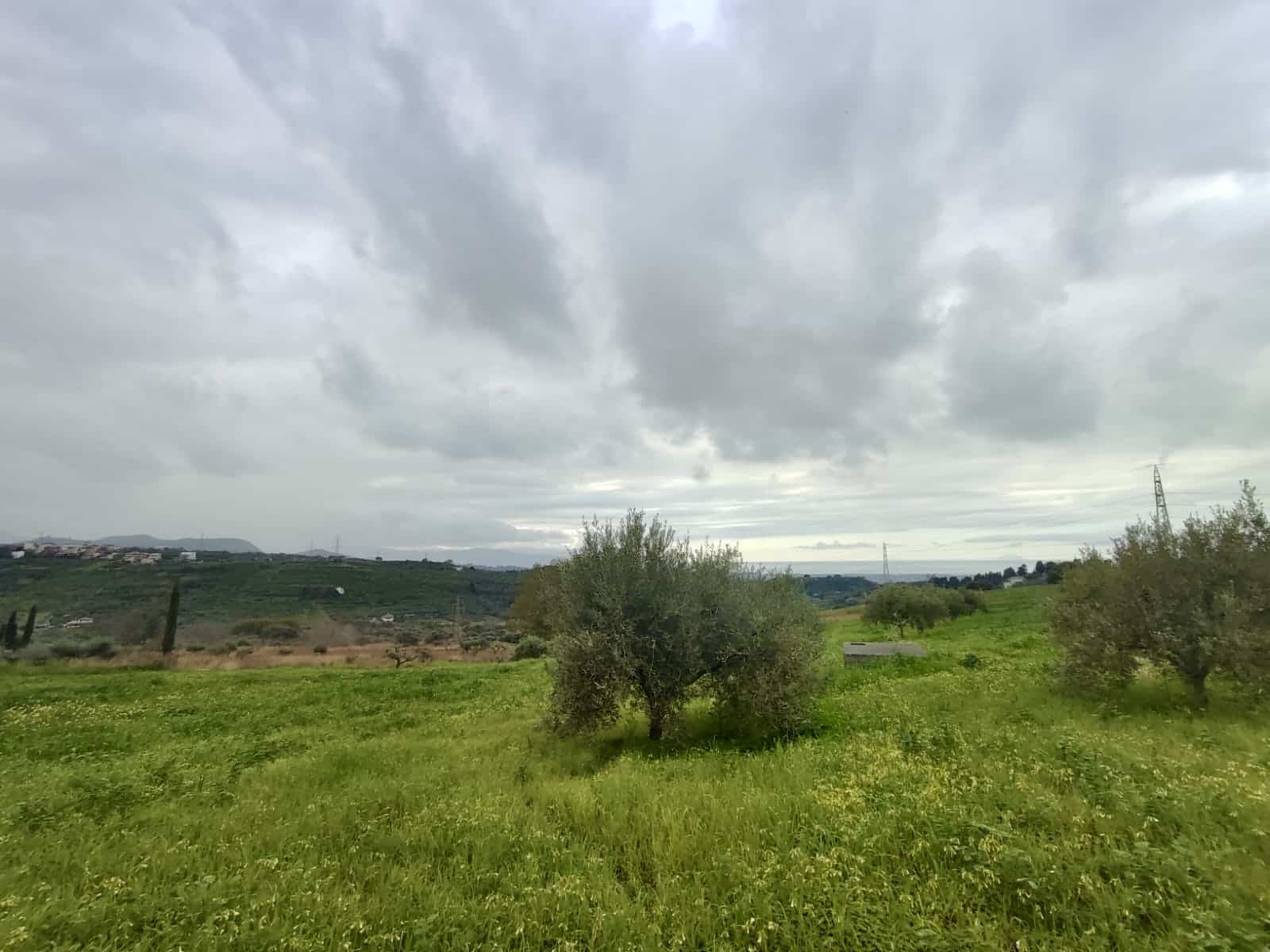 Campo verde con alberi e cielo nuvoloso, paesaggio rurale per investimenti immobiliari e offerte di case in vendita in zone verdi e tranquilli.