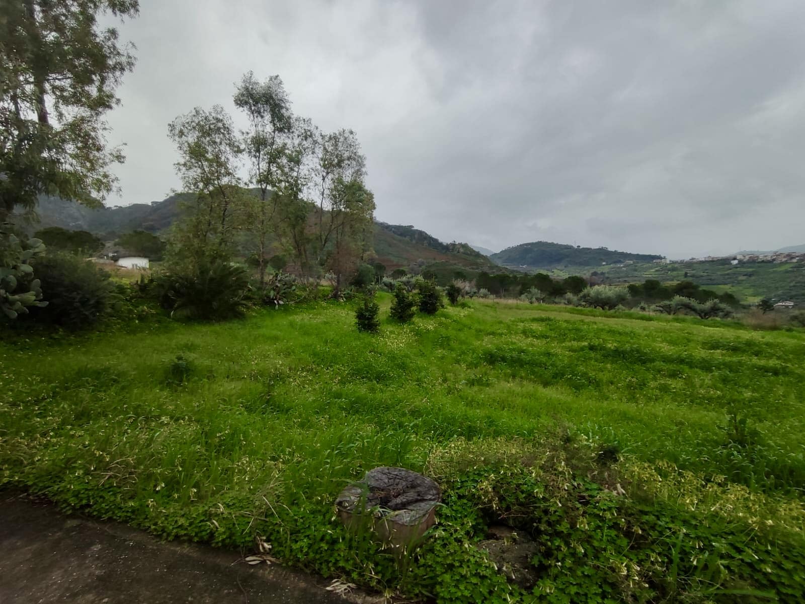 Prato verde e colline naturali sotto un cielo nuvoloso, scenario paesaggistico rilassante e naturale in Toscana, ideale per eventi all'aperto, proprietà rurali e investimenti immobiliari.