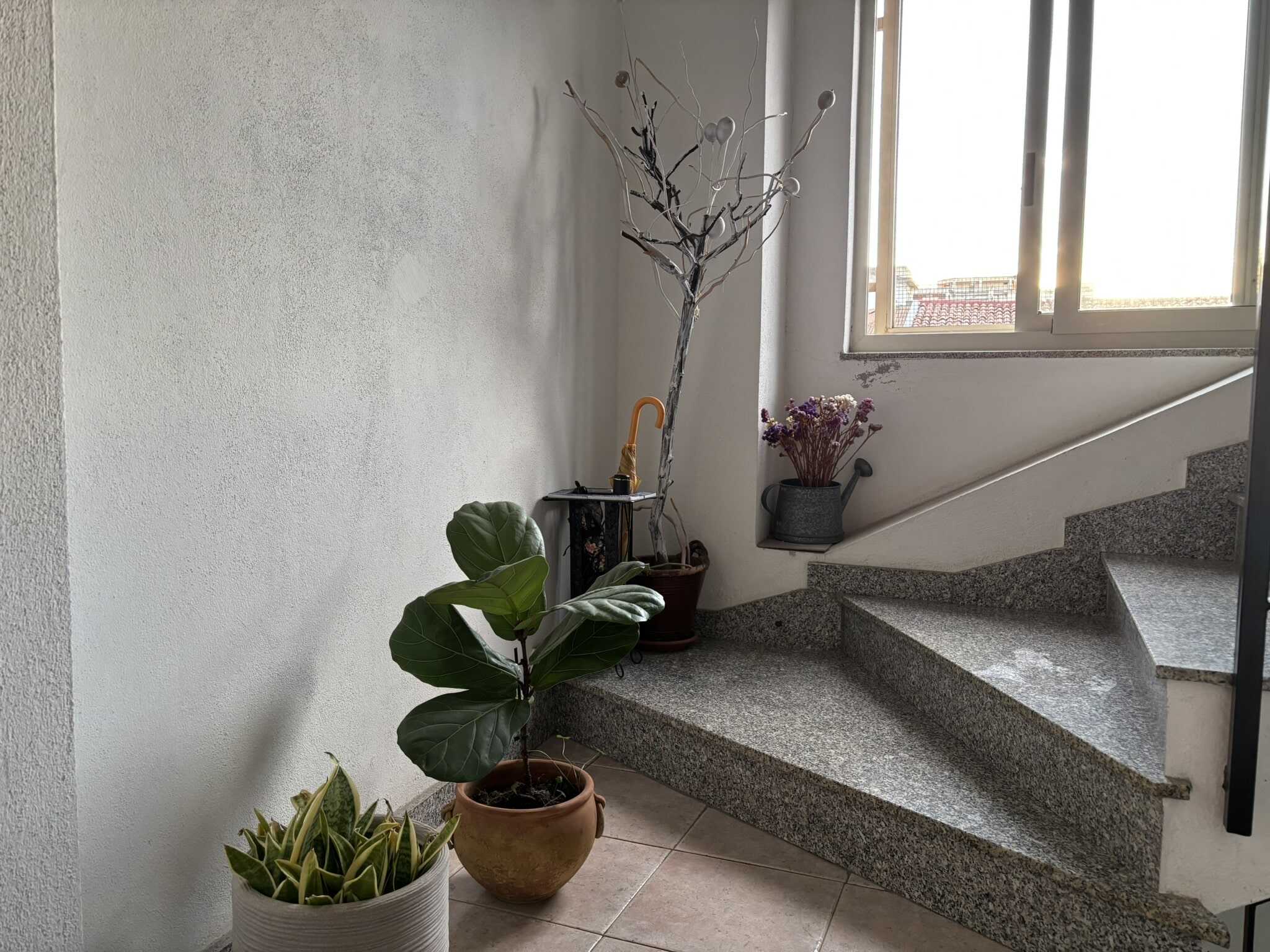Luci naturali che illuminano un ingresso di casa con piante in vaso e scale in granito, creando un'atmosfera accogliente e luminosa.