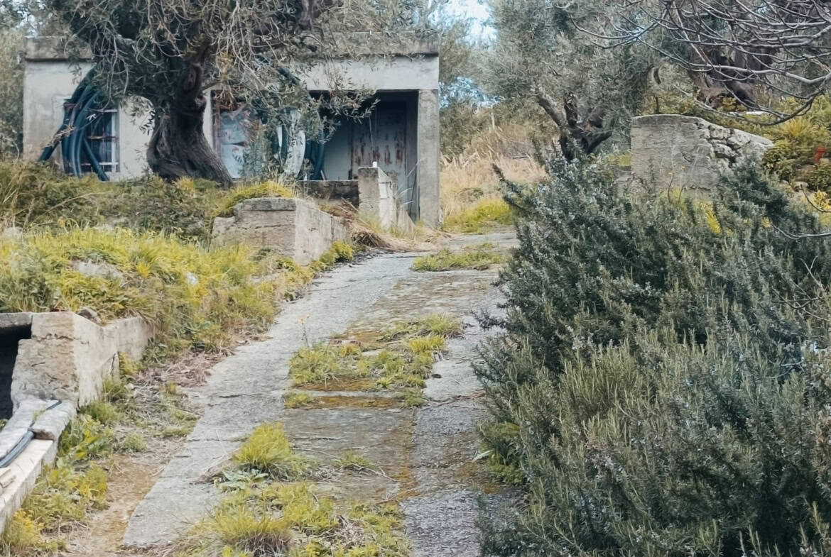 1170