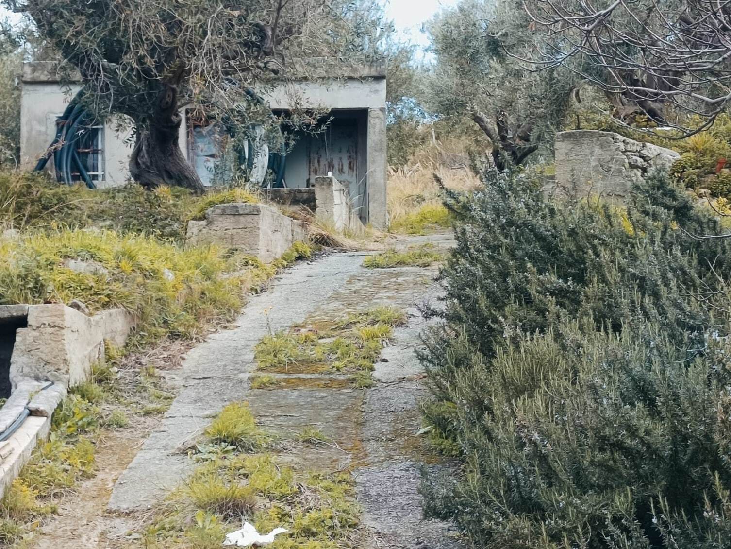 Vecchia casa di campagna abbandonata immersa nel verde, con un sentiero in pietra che attraversa il giardino rustico e naturale. Atmosfera di tranquillità e autenticità in un ambiente rurale.