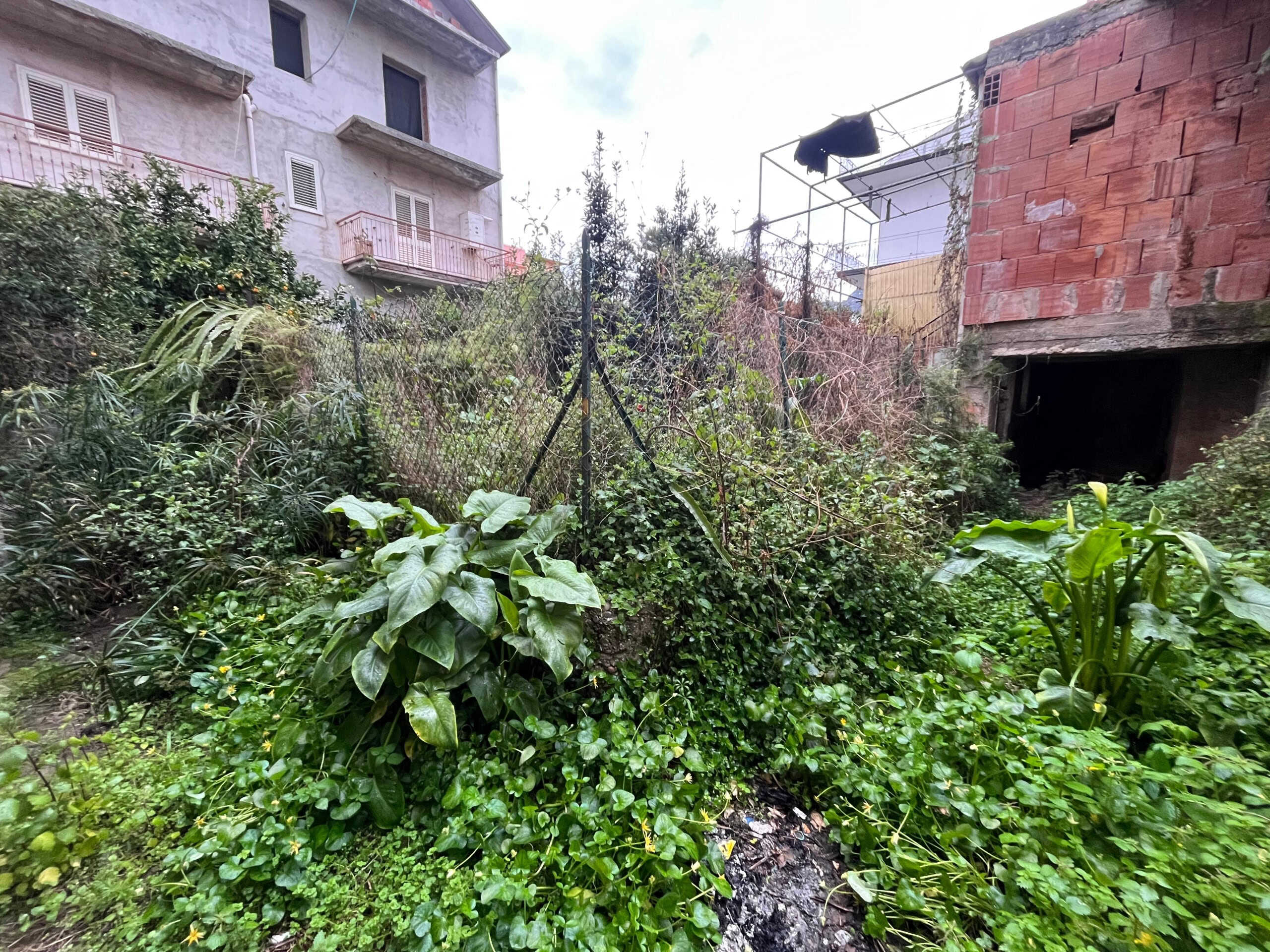 Giardino condominiale con vegetazione rigogliosa e barriere naturali, situato in una zona urbana residenziale ed equilibrata, con edifici e strade nelle vicinanze.