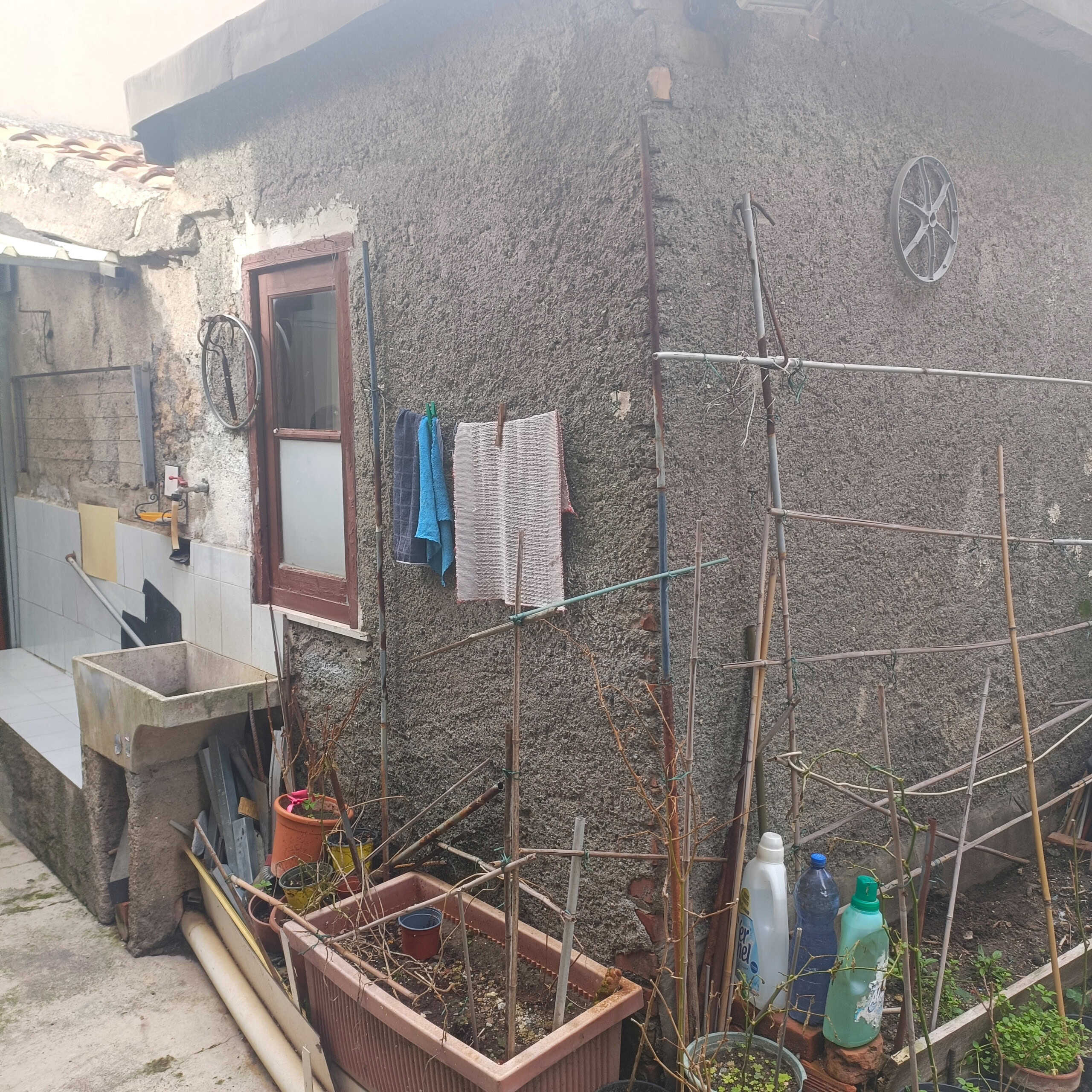 Dettaglio di un cortile esterno di casa con piante in vaso, scope, detergenti e oggetti da giardinaggio, in un ambiente rustico e ben curato.