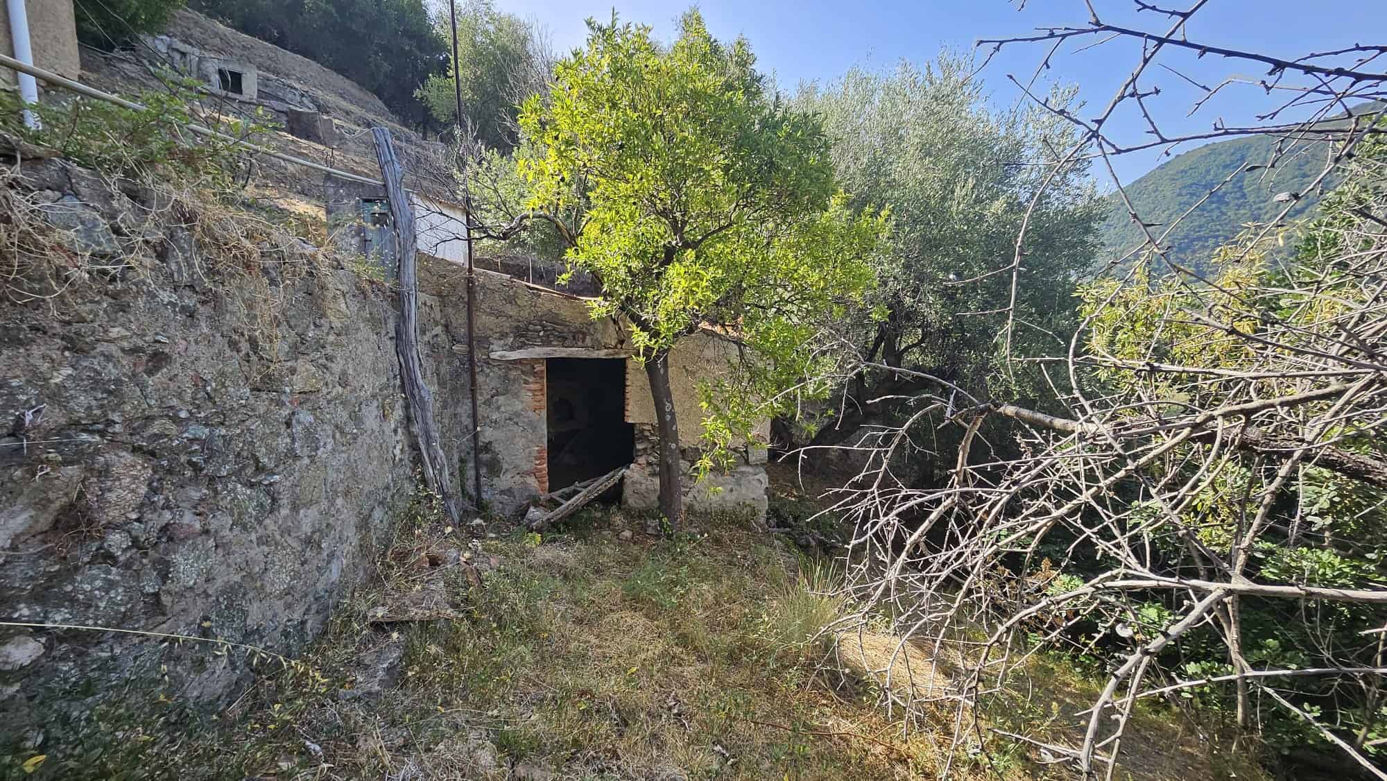Vecchio stabile in pietra con entrance in legno, immerso in un paesaggio naturale rigoglioso e montano, ideale per un progetto di ristrutturazione o rinnovamento rurale.