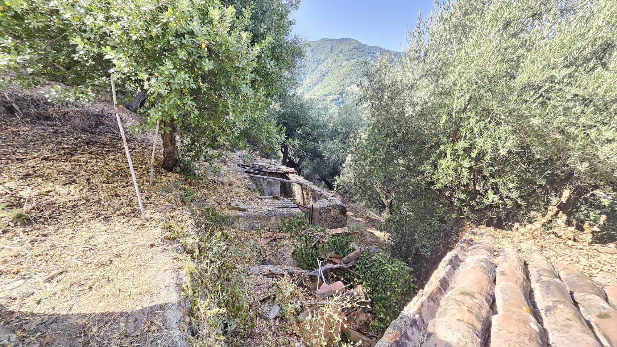 Scarpa rocciosa con vegetazione mediterranea, olivi e vista sulle montagne, parte di un ambiente naturale in Toscana, ideale per proprietà rurali o terreni coltivabili, immerso nel paesaggio toscano.