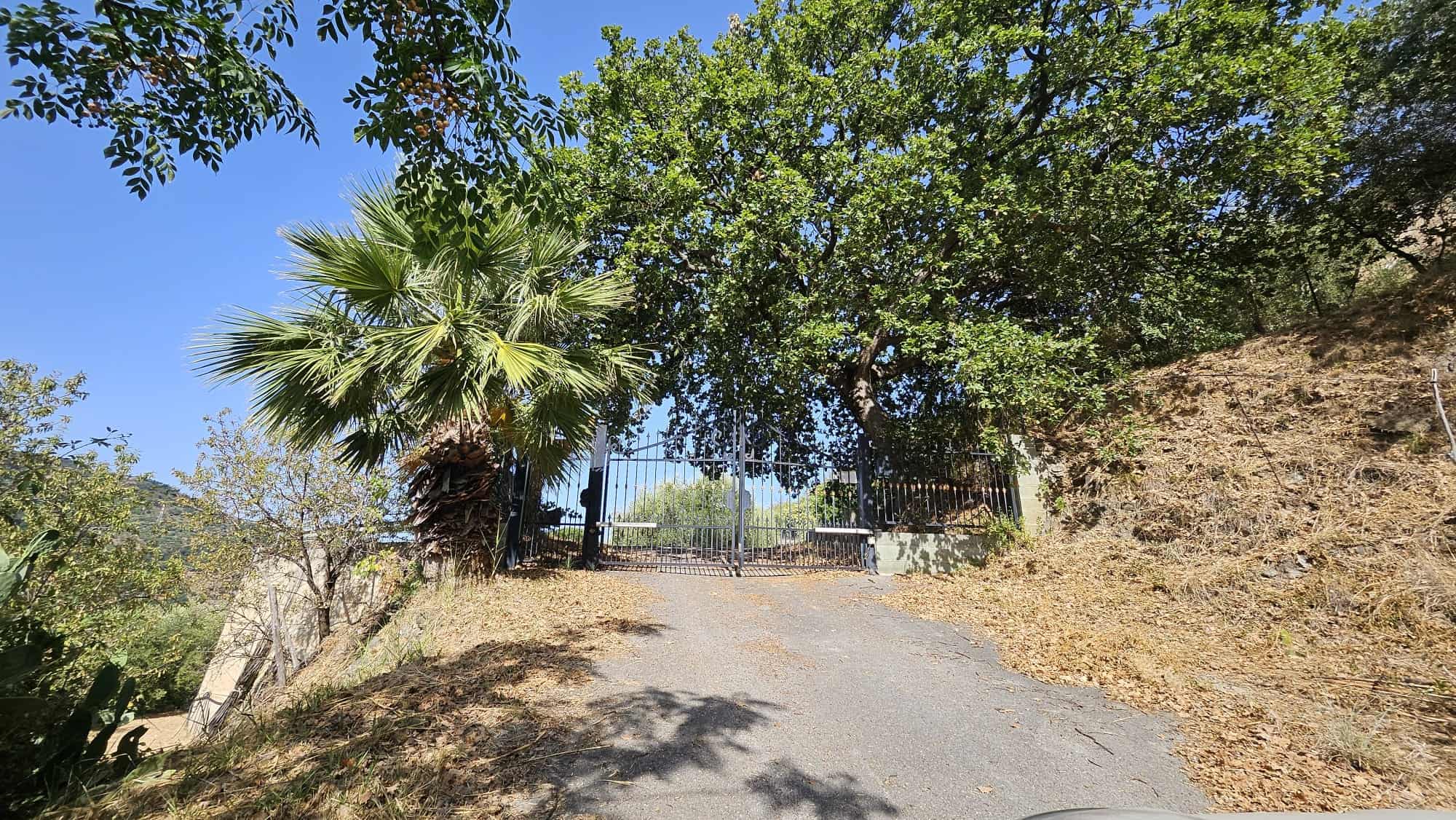 Cancello in ferro battuto tra alberi e arbusti sul percorso di accesso alla proprietà, in un ambiente naturale e tranquillo, ideale per case o terreni residenziali.