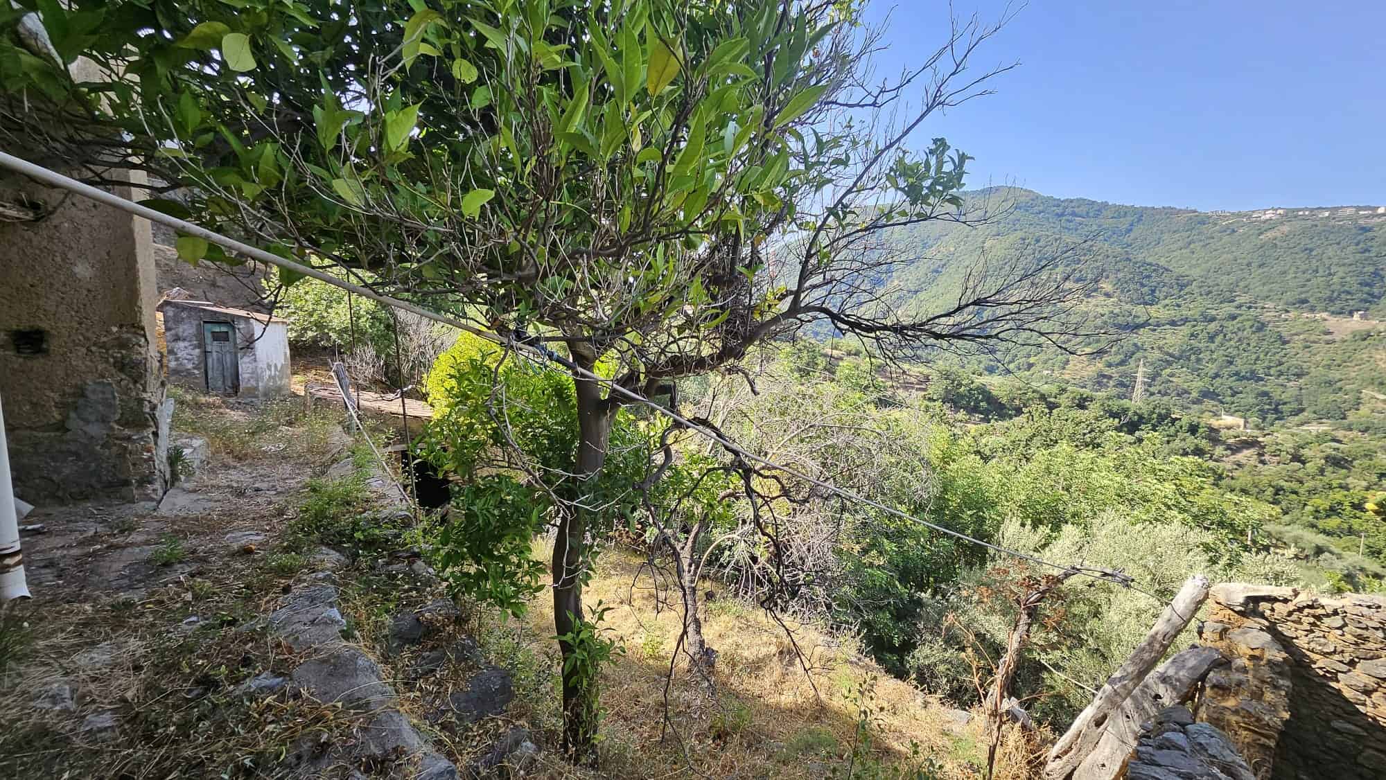 Albero nel paesaggio collinare con ville e natura, vista panoramica su montagne verdi e cielo azzurro, ideale per immagini di immobili immersi nel verde e in ambienti tranquilli.