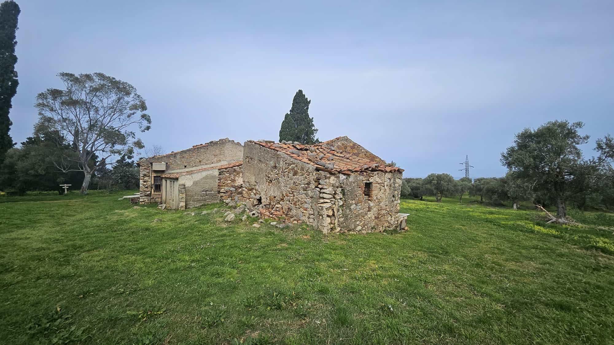 Vecchio casale in pietra immerso nel verde con alberi e campo aperto, perfetto per ristrutturazione e investimenti immobiliari rurali, panorama campagna toscana, stile rustico autentico.